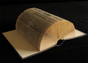 Jo Howe book sculpture oxymoron