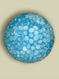 Jo Howe work archive Blue moon 2008