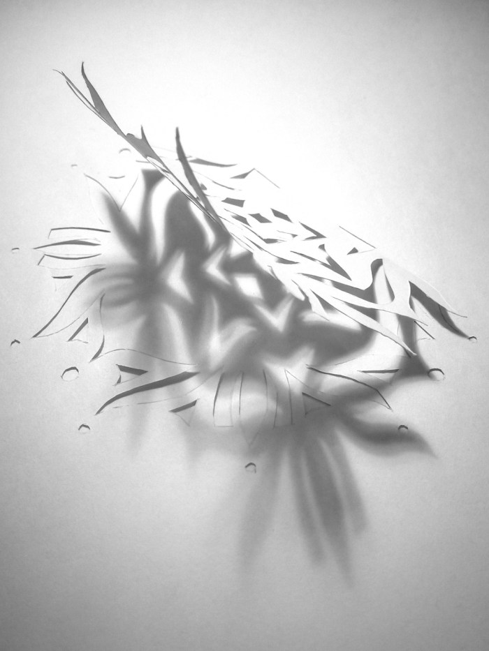 Jo Howe Snowflake 2014